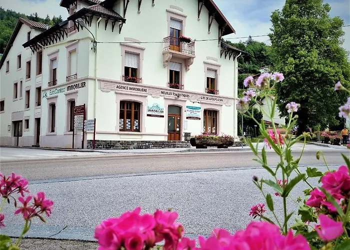 Myosotis, 2 Personnes, Avec Salle De Jeux Et Dans La Ventron